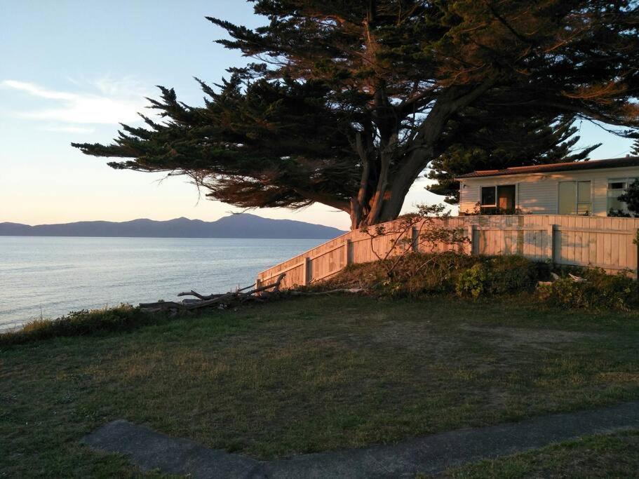 Beachfront Bliss Paraparaumu Exteriör bild
